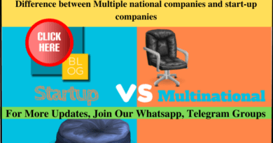 Difference between Multiple national companies and start-up companies