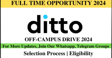 Ditto work From Home Opportunity 2024, work from home, ditto, jobs, job opening